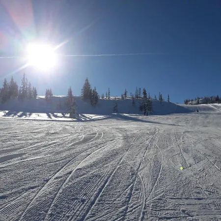 Hotel Forstauerwirt & Restaurant Forstau (Salzburg)