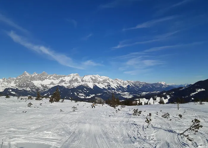 Forstauerwirt & Restaurant 호텔