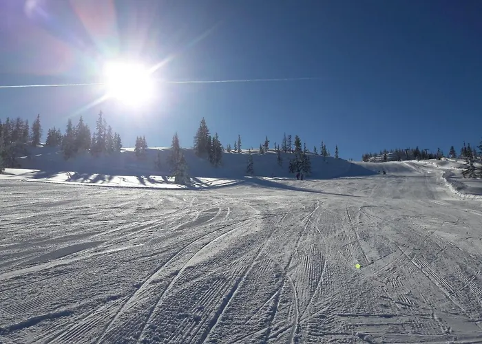 호텔 Forstauerwirt & Restaurant 포르슈타우